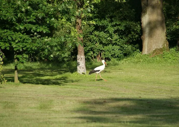 Dom Lowczego Gnoyna Park