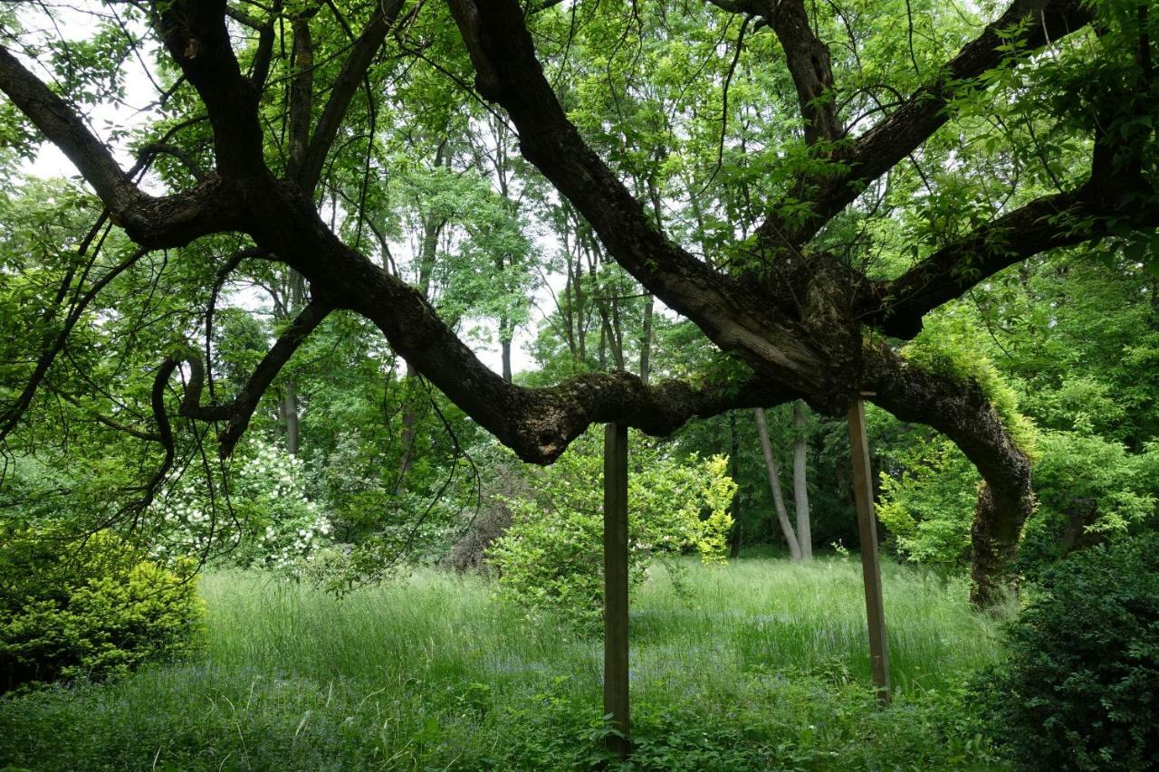 Dom Lowczego Gnoyna Park *